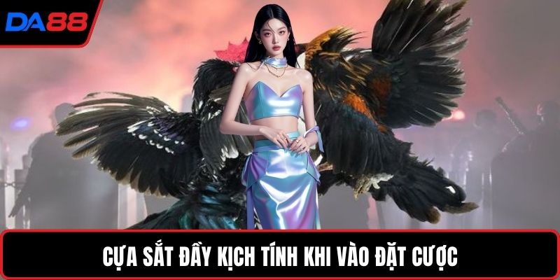 Cựa sắt đầy kịch tính khi vào đặt cược