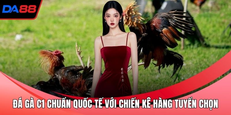 Đá gà C1