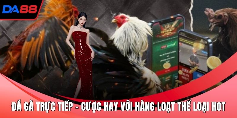 Đá gà trực tiếp