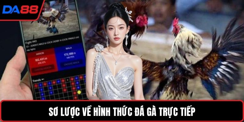 Sơ lược về hình thức đá gà trực tiếp