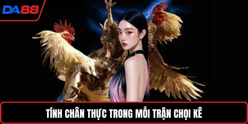 Tính chân thực trong mỗi trận chọi kê