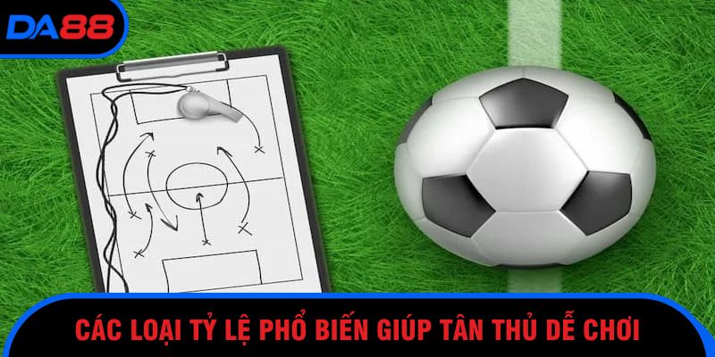 Những điểm cần nhớ khi xem tỷ lệ từ nhà cái